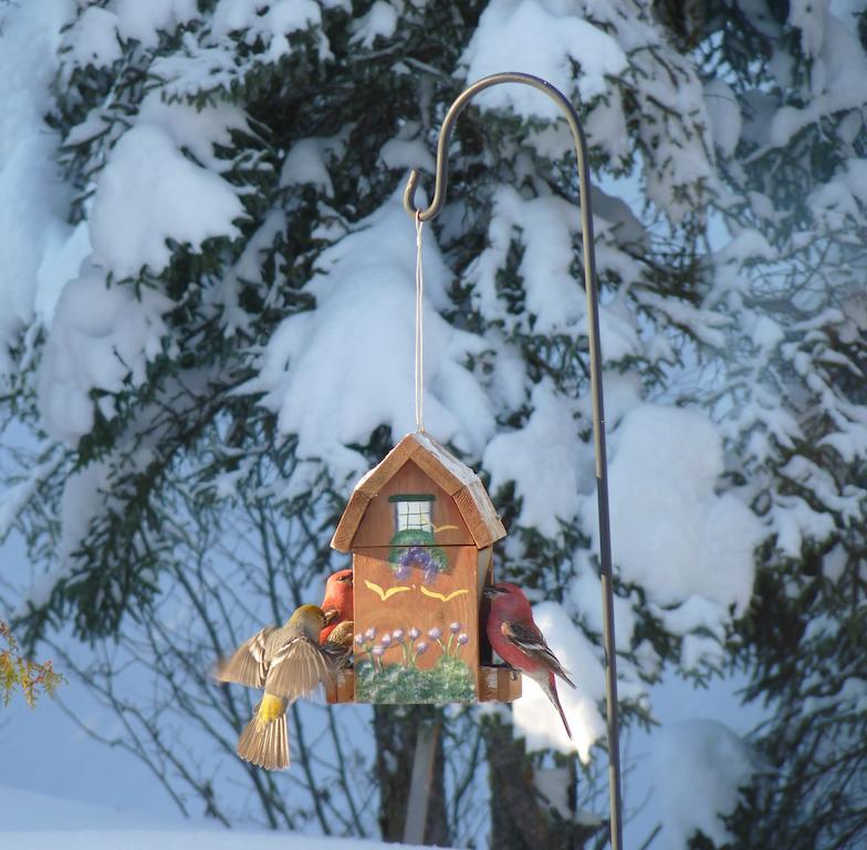 Gite De La Riviere Bed and Breakfast Chibougamau Buitenkant foto